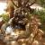 WF Angel Falls